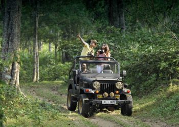 Comfortable travel assistance for Peermade tourists