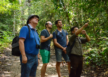 Eco-friendly tourism experiences in Peermade