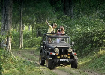 jeep safari in kerala banner