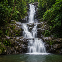 Tourists exploring the natural beauty of Peermade